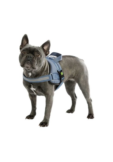 Belden Köpek Tasması Maestro 2.0 S  45-60 cm x 15 mm Mavi