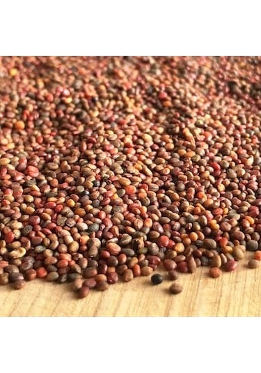 Aktar Store Roka Tohumu 1 Kg