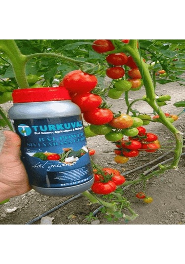 5 L Turkuvaz Bat Power Organik Sıvı Yarasa Gübresi