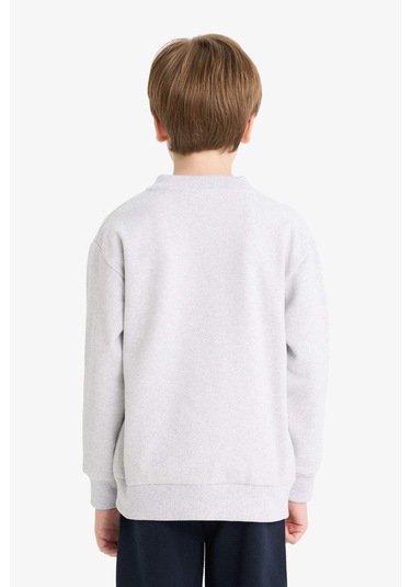 Defacto Erkek Çocuk Kolej Yaka Bomber Hırka D2803a825augr400 Gri Defacto Erkek Çocuk Kolej Yaka Bomber Hırka D2803a825augr400 Gri