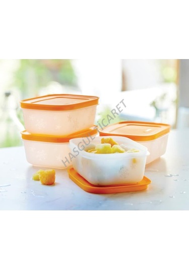 Tupperware Alaska Set 4'Lü 450 Ml Derin Dondurucu Buzluk Kabı Hsg N1140721