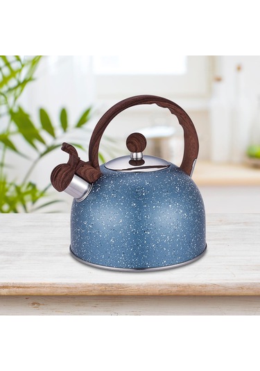 Homyl Islık Çalan Çaydanlık Ocak Malzemeleri Mutfak Mavi Diğer