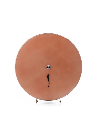 ARGESAN-Paslanmaz Çelik WC Kağıtlığı JUMBO Q28 cm-ROSE