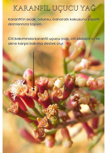 Bade Natural Karanfil Uçucu Yağı 10 ML