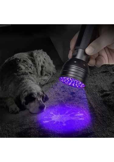 Wondernest 51 Led 395nm Uv Led Feneri, Evcil Hayvan İdrarı Algılama Desteği Siyah, Küçük Boyutlu Siyah