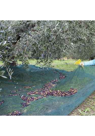 5x5 Metre Zeytin Sergisi Zeytin Toplama Filesi Fındık Fıstık Örtüsü Gölgelik Dut Meyve Sergisi Taban Örtüsü