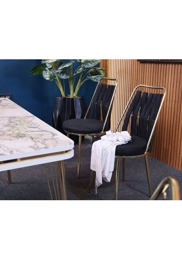 Viyolet Siyah Masa Sandalye Takımı