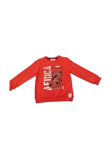 Nk Kids Erkek Çocuk Pamuklu Aslan Baskılı Sweatshirt-11226-mercan Mercan