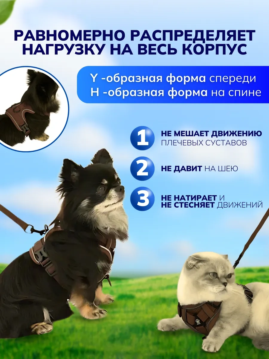 Stepico Kedi Ve Köpekler İçin Gezinti Yürüyüşü Tasması 310536823