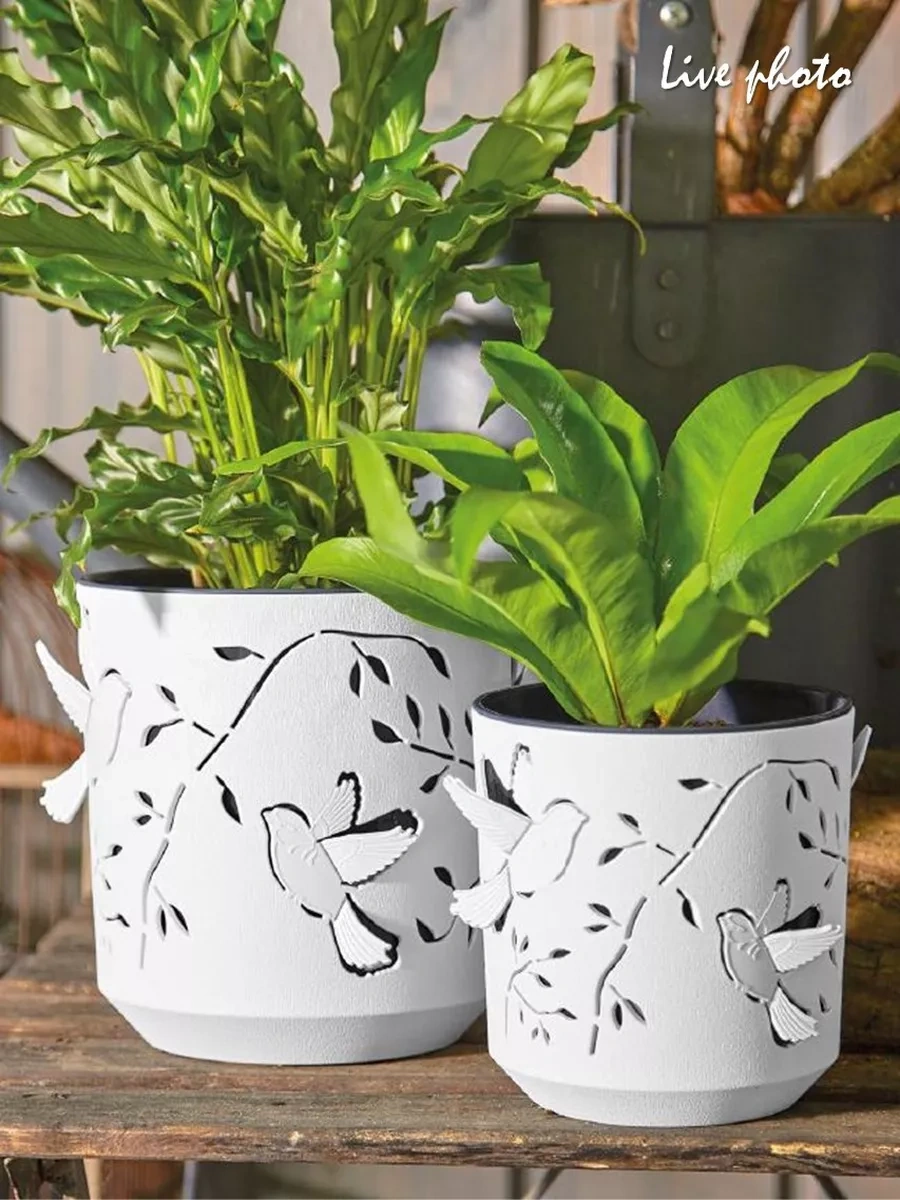 La Decoro Ev Bitkileri İçin Saksı, Çiçek Saksısı, Kolibri Saksı 222781449