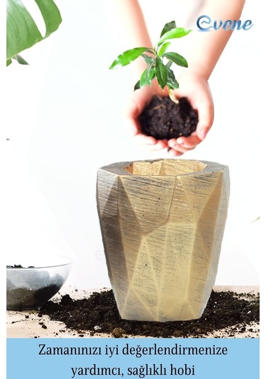 Saksı Çiçek Kaktüs Saksısı Lüx 15 Cm Poly Desen Saksı Çiçeklik - Altın Eskitme