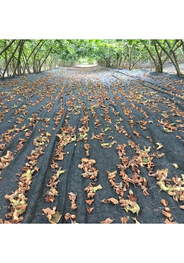 2x20 Metre Fındık Sergisi Fındık Toplama Filesi Fındık Kurutma Örtüsü 40'lık Gölgelik Fındık Altı File Hasat Taban Örtüsü