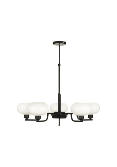 Vanna 5 Li Beyaz Camlı Salon Oturma Odası Modern Sarkıt Avize - Siyah Siyah