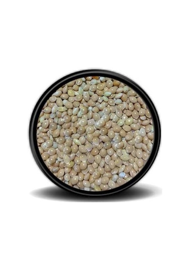 Grpet Hobi Sarı Darı 1 KG