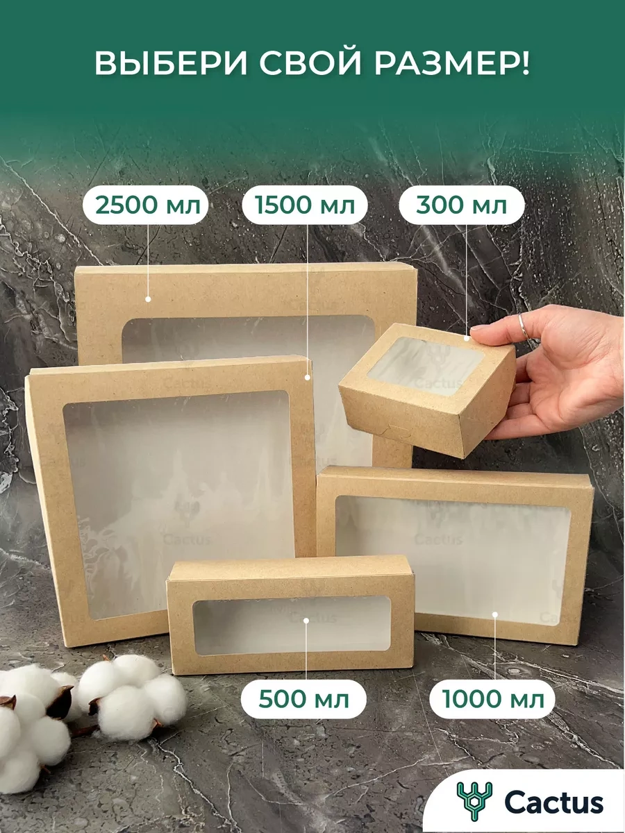 Cactus Kraft Pencereli Paketleme İle Hediye Kutusu 171153405