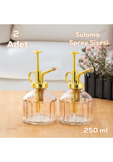 Perotti 15733 2li Pembe Vintage Cam Bitki Sulama Şişesi Sulama Ka