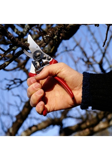 Felco 8 Budama Makası ve Felco Bere - 111644