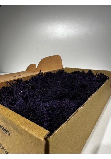 Reindermoss Şoklanmış Norveç Yosunu Terarium Yosunu Mor 500 Gr.