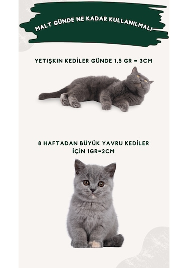 Roevita Kedi ve Köpekler İçin Immune Sistem Paste 100 G