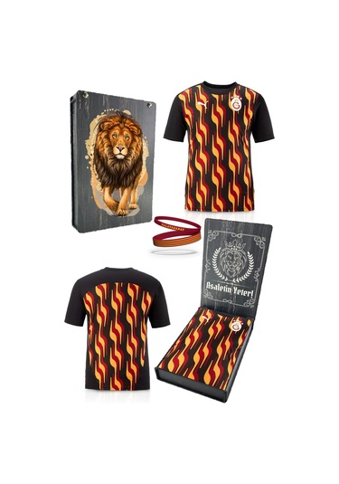 Galatasaray Lisanslı Sıfır Yaka Siyah Antrenman T-shirt + Bileklik Set Hediyelik Ahşap Kutulu Kırmızı - Gri