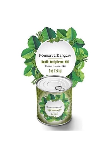 Buffer Konserve Bahçem Evde Konservede Kekik Dağ Kekiği Yetiştirme Kiti Mavi