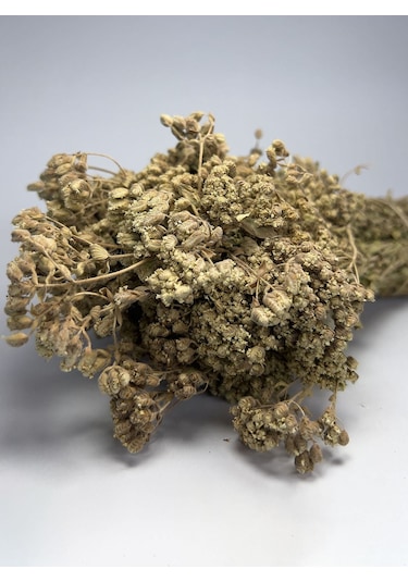 Dalgıçoğlu Tomurcuk Kekik Kazdağı Demet