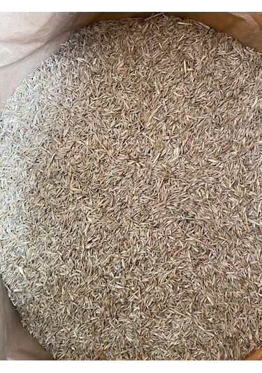 Çim Tohumu Yerli 6 Karışım 1 Kg