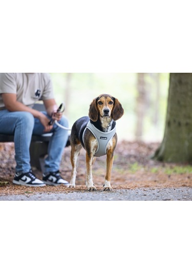 Beeztees Köpek Göğüs Tasması, Neopren,gri, M, 41-46cm Çok Renkli