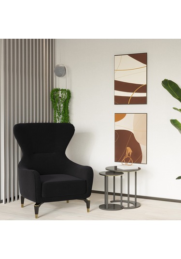 Bella Berjer Salon&oturma Odası - Siyah