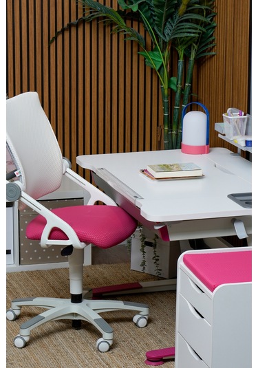 Creo Mobili Yükseklik Ve Sırt Ayarlı Sirius Çalışma Sandalyesi Ofis, Bilgisayar Koltuğu Beyaz/fuşya Gri