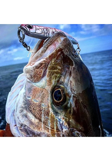 Duo Rough Trail Malice 130 Cha0114 / Clear Anchovy