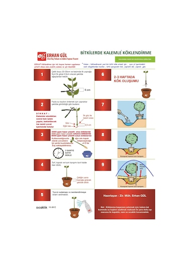 Çelik Köklendirme Hormonu 4000 Ppm Dal Köklendirme Hormonu 100ML