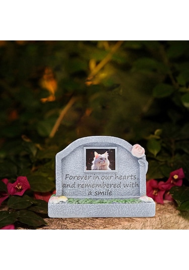 Homyl Evcil Hayvan Anıt Anıtı Reçine Kedi Mezar Taşı Kayıp Altın