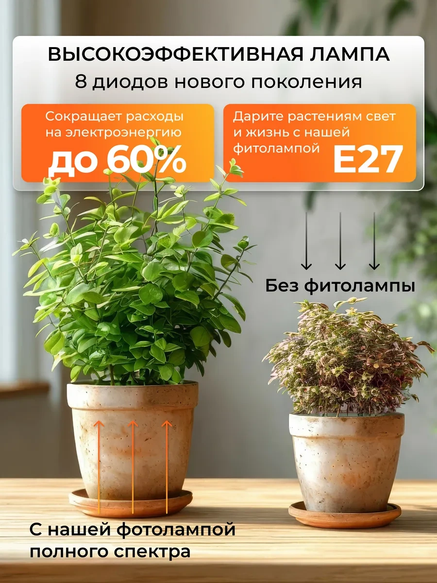 Bitkiler Ve Fideler İçin Tam Spektrumlu Fitolamba E27 144226219 Violet