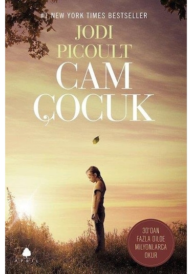 Cam Çocuk - Jodi Picoult - April Yayıncılık