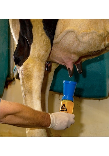 Ambic Sağım Sonrası Meme Daldırma Kabı-Sarı-İngiliz  Menşei