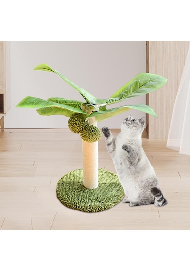 Homyl Tırmalama Aleti, Ağacı Asılı Top Yavru Sonrası Ağaç