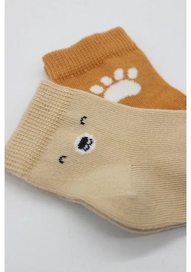 Bear Penye Soket Çorap 2'li Bej Renkli Çok Renkli