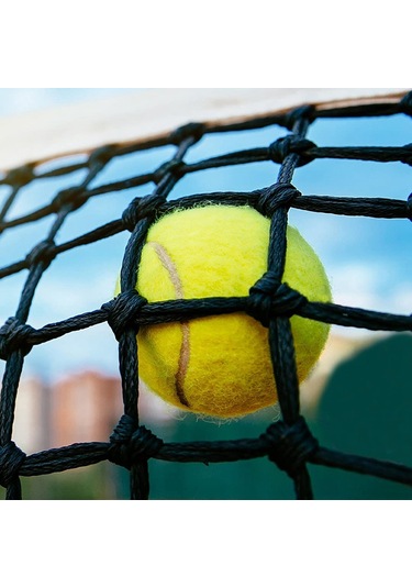 Anjiexun 12'li Paket Tenis Topları Saklama Çantasıyla - Tenis Ve Kriket İçin Yeşil