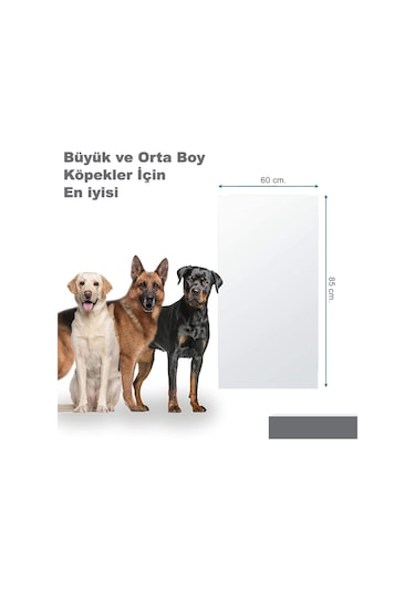Köpek Tırmalama Mobilya Kapı Koruyucu Yapışkanlı Folyo 60 x 85 CM Şeffaf