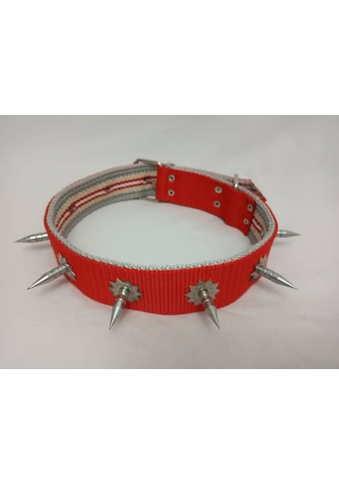 Kozaklı 10459 Çivili Süslü Köpek Tasması Turuncu 70 x 4 CM Turuncu