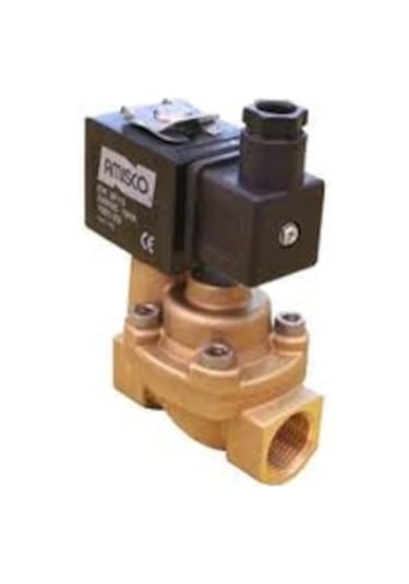 Selenoid Valf Normalde Kapali 2-2 11,2 Inç-12V Dc