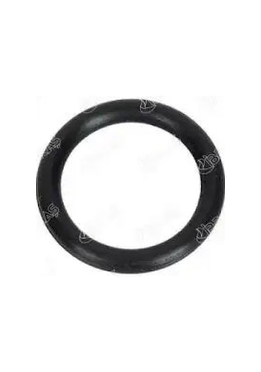 İbraş 19700 Emme Manifold Contasi 0348r4 11617805028 1254376
