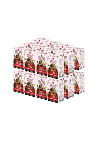 Hancıbey Atom Süzen Poşet Şerbeti Çayı 24 x 15'li