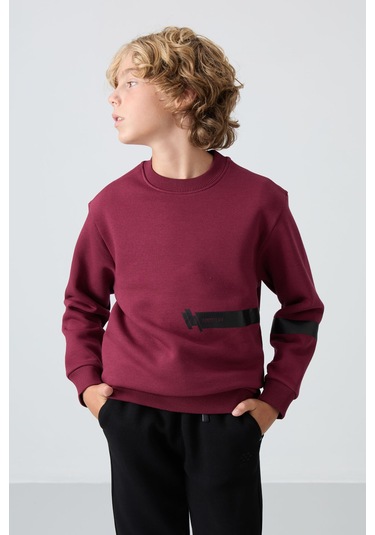 Erguvan Pamuklu Kalın İçi Tüylü Yumuşak Dokulu Standart Fit Baskılı Erkek Çocuk Sweatshirt - 11238 Mor