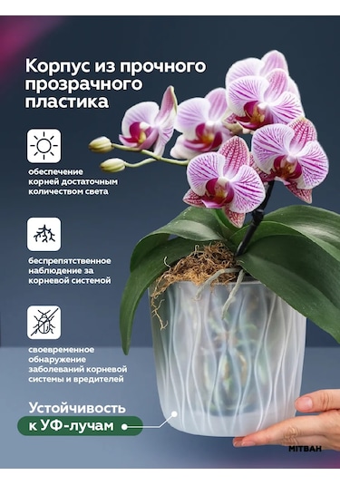 Mıtbah Orkide İçin Saksı, Şeffaf Saksı, 2 Adet, 2,3 L 412453380
