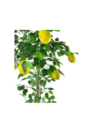 Yapay Limon Ağacı 130Cm 8 Limonlu Doğal Görünümlü Siyah Plastik S