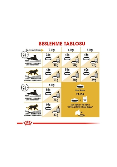 Royal Canin Siamese 38 Yetişkin Kedi Maması 2 KG
