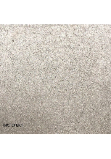 Tek Boya Endam Dekoratif Sedef Efektli Boya