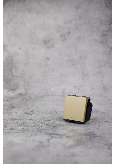 Vo'stabl Geçiş Anahtarı, Altın Mekanizmalı, Tek Tuşlu 220774411